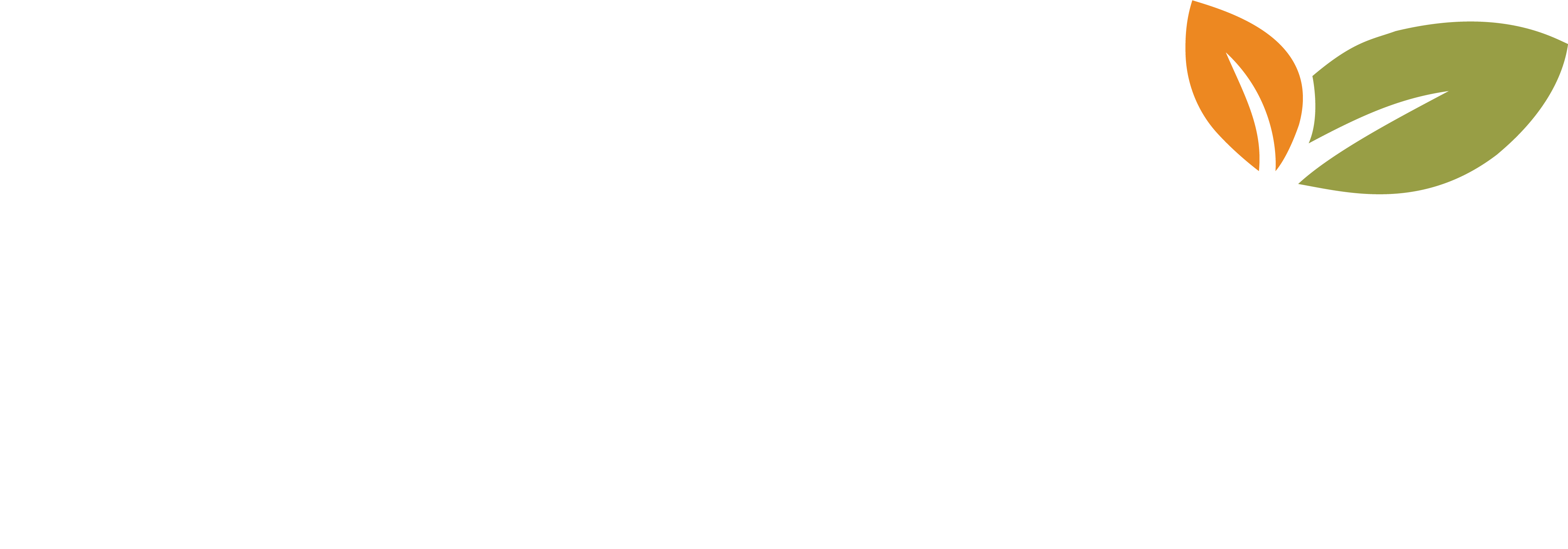 Salada